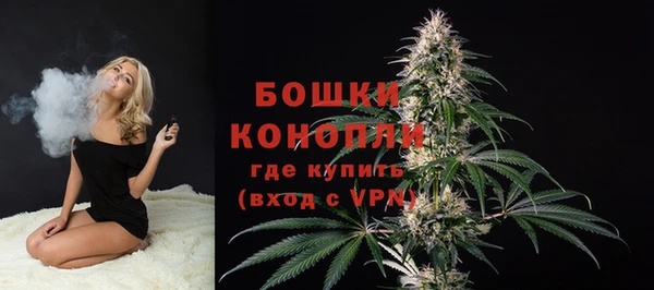 apvp Богородск