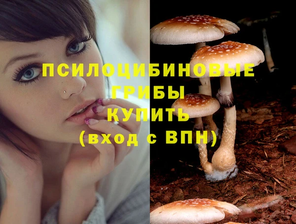 a pvp Богданович