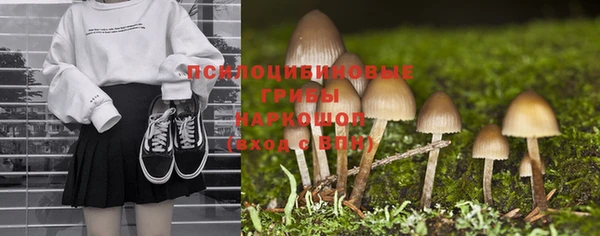 a pvp Богданович